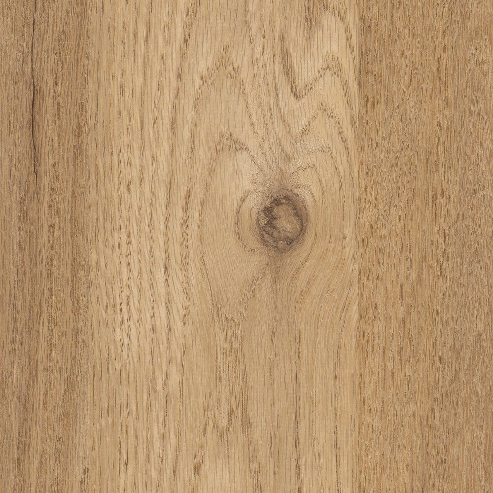 PAL K STEJAR KORONA A860 PS37