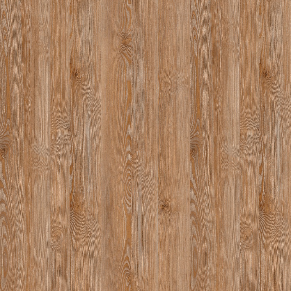 PAL K IDA LARICHE INCHIS A844