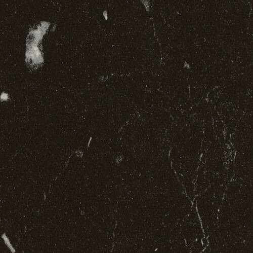 BLAT BLACK ROYAL MARBLE S63052 MS 4.1/38MM STOC LIMITAT