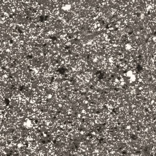 BLAT CORN F73013 TC 4.1/38/900MM