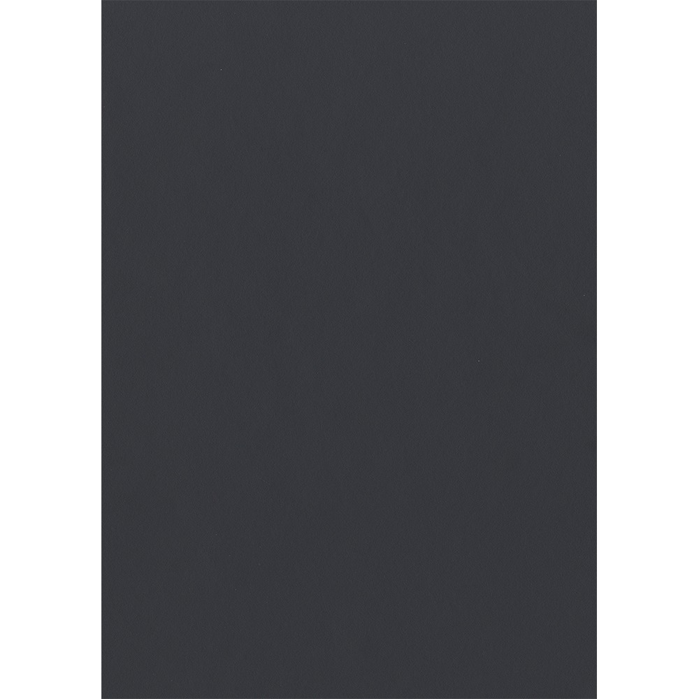 PAL E GRI CARBUNE U968 ST9