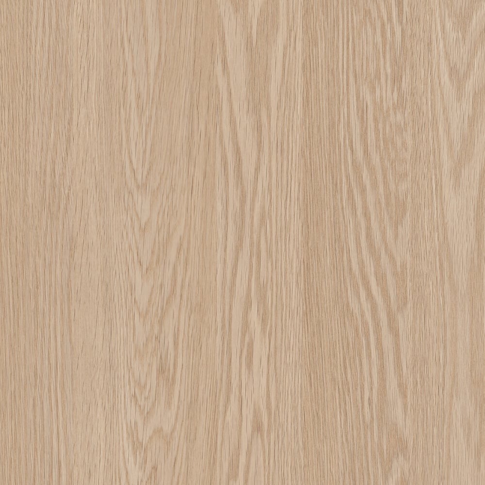 PAL E STEJAR BARONIA DESCHIS H1362 ST12