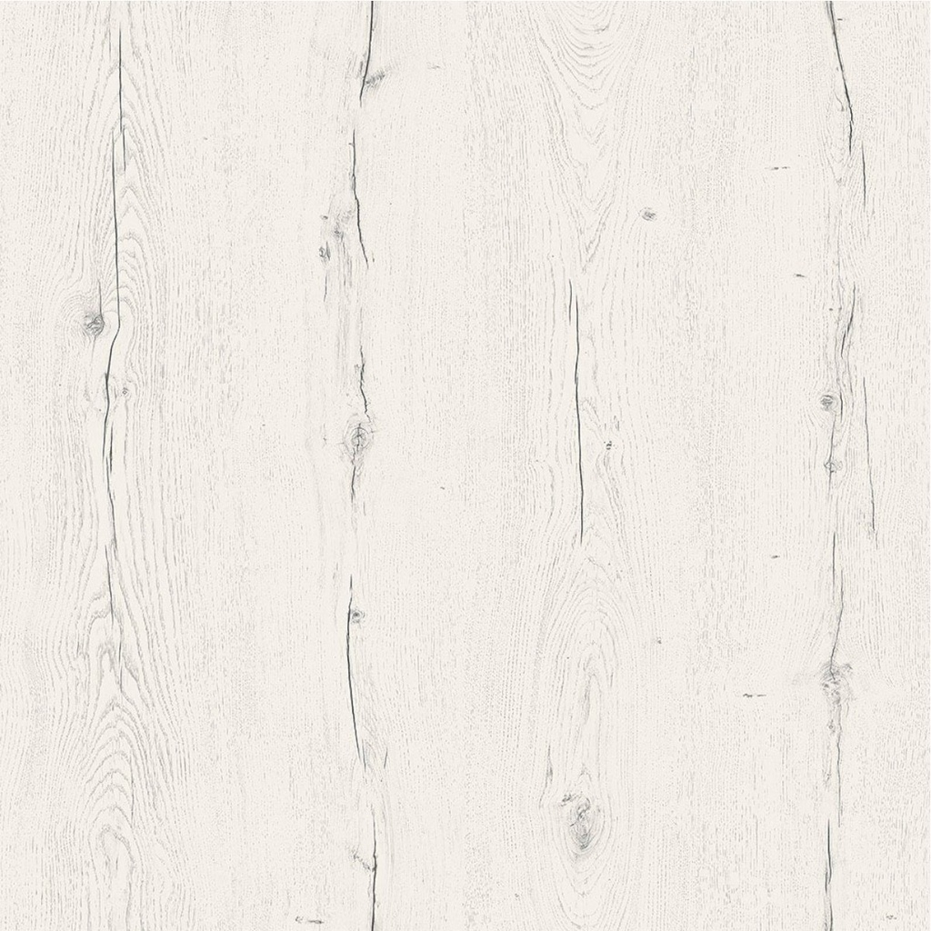 PAL K STEJAR A875 PS60