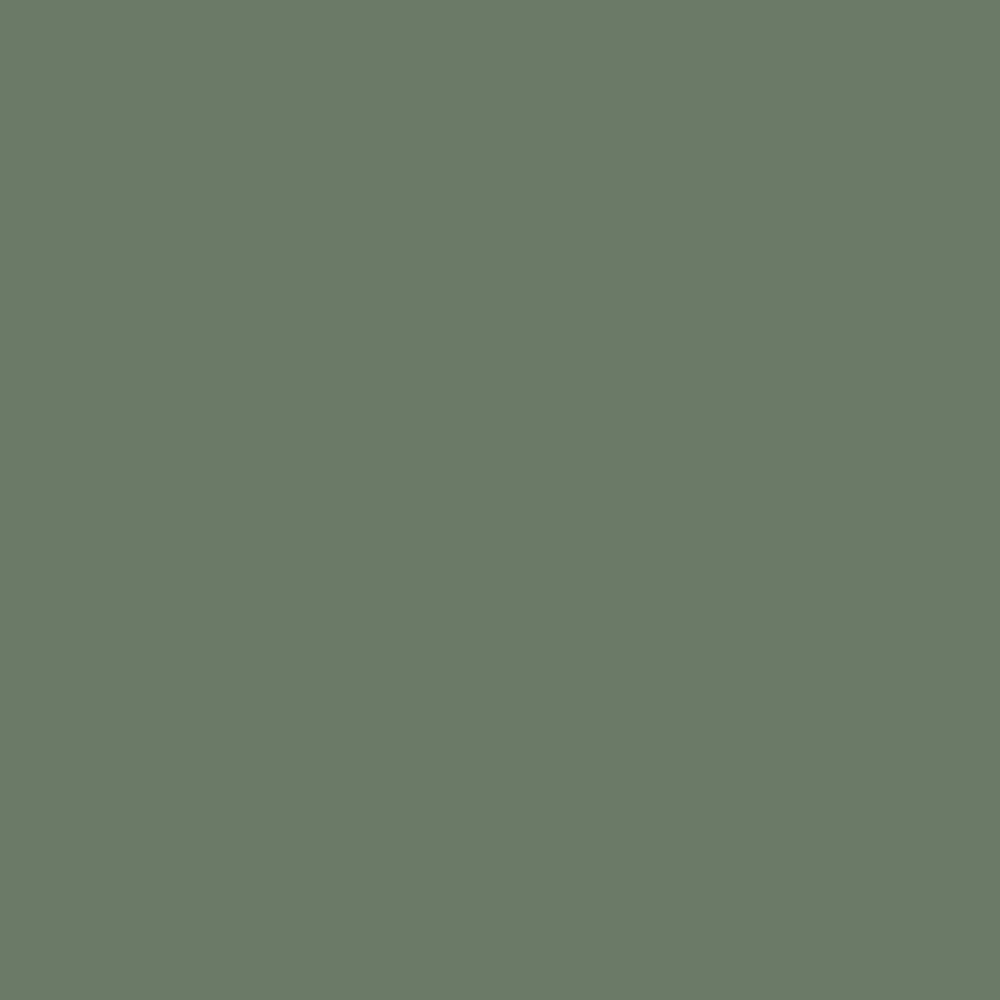 PAL VERDE 521
