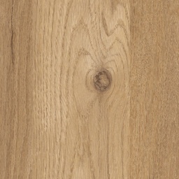 [00003093] PAL K STEJAR KORONA A860 PS37