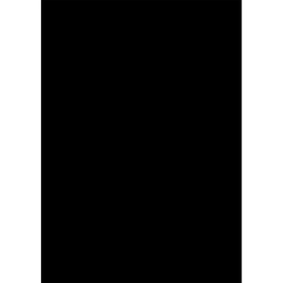 [00006189] PAL E NEGRU FUMURIU U998 ST38