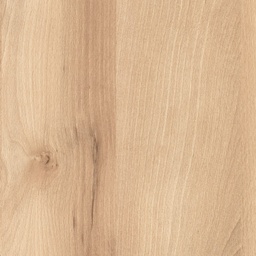 [00006239] PAL K FAG VICRORIA A859