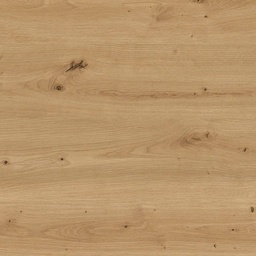 [00006705] BLAT E STEJAR SALBATIC NATUR H1318 ST10 4.1/38/600MM