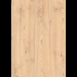 [00006791] PAL E CASTAN KENTUCKY NISIP H1710 ST10