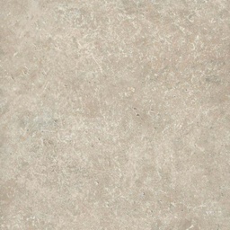 [00006965] BLAT CERAMIC TESIN  F221 ST87 4.1/38/600MM
