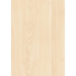 [00007261] PAL K ARTAR A319 PS17