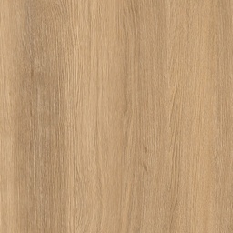 [00007437] PAL E STEJAR SACRAMENTO MARO H1142 ST36