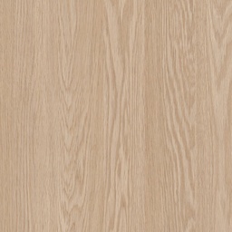 [00007445] PAL E STEJAR BARONIA DESCHIS H1362 ST12