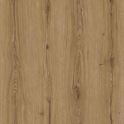 [00007513] PAL K STEJAR ROSSIN A879