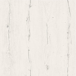 [00007555] PAL K STEJAR ELVETIA ALB A875 PS60