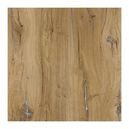 [00007559] PAL K STEJAR CELTIC A905 PS29