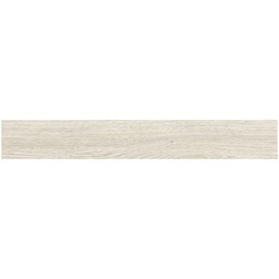 [00007566] ABS NUC VIRGINIA DESCHIS A869 PS29 0.4/22MM