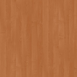 [00008117] PAL ARIN 1912 BS