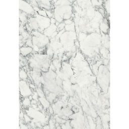 [00008235] PAL K CARRARA F255 PS42